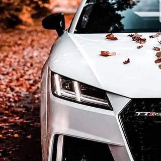 Audi TT phone wallpaper