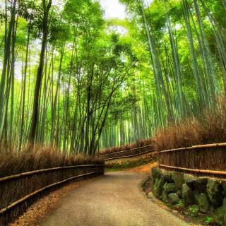 Kyoto desktop wallpaper