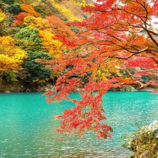 Kyoto desktop wallpaper