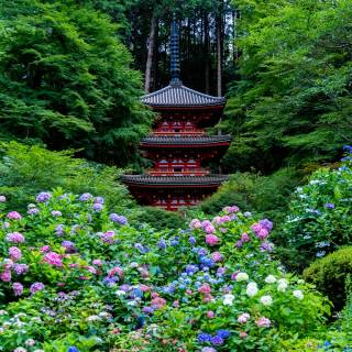 Kyoto desktop wallpaper