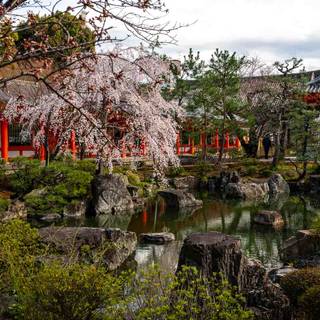 Kyoto desktop wallpaper
