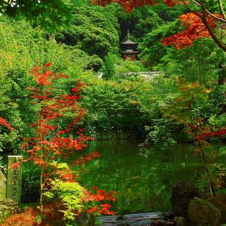 Kyoto desktop wallpaper