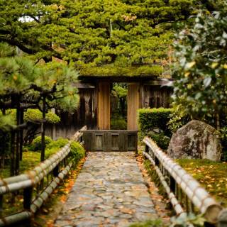 Kyoto desktop wallpaper