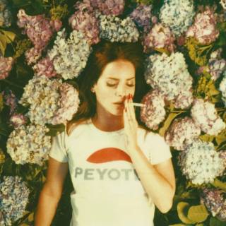 Lana Del Rey aesthetic desktop wallpaper
