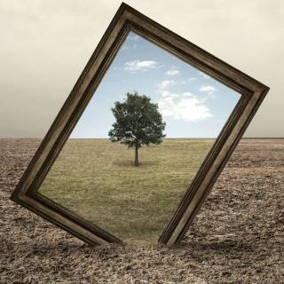 Frame desktop wallpaper