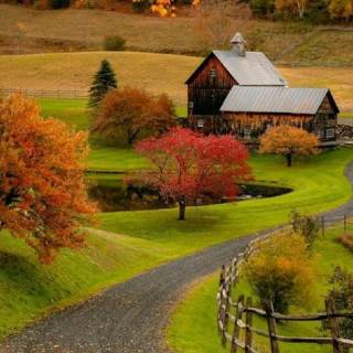 Farm mobile wallpaper