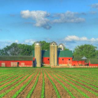 Farm mobile wallpaper