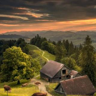 Farm mobile wallpaper