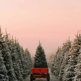 Farm mobile wallpaper