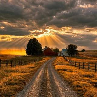 Farm mobile wallpaper