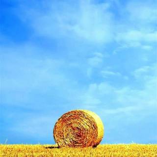 Farm mobile wallpaper
