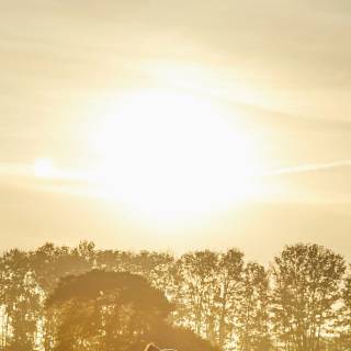 Farm mobile wallpaper