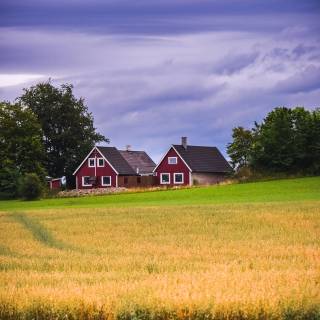 Farm mobile wallpaper