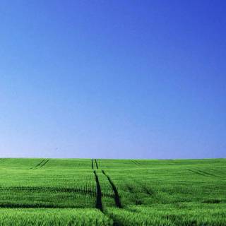 Farm mobile wallpaper