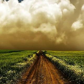 Farm mobile wallpaper
