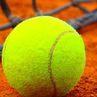 Tennis mobile wallpaper