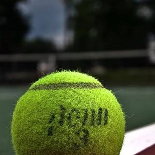 Tennis mobile wallpaper
