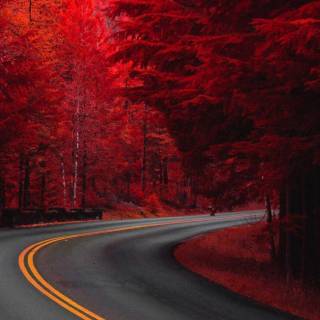 Red mobile HD wallpaper