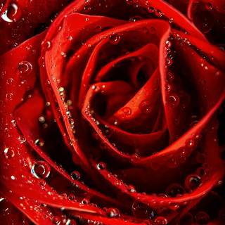 Red mobile HD wallpaper