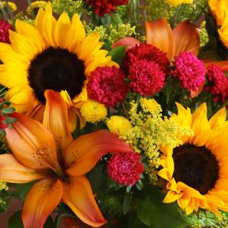 Sunflower and lily wallpaper
