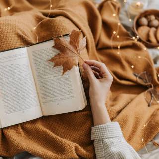 Aesthetic books desktop wallpaper