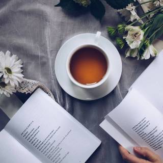 Aesthetic books desktop wallpaper