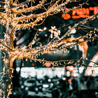 Fairy lights desktop wallpaper