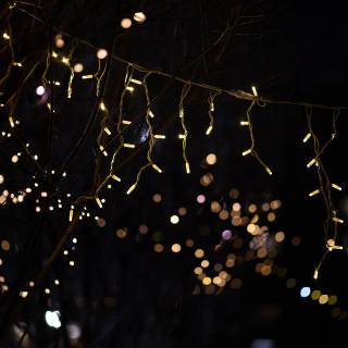 Fairy lights desktop wallpaper