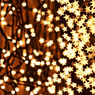 Fairy lights desktop wallpaper