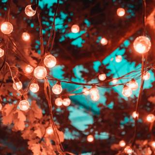 Fairy lights desktop wallpaper