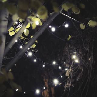 Fairy lights desktop wallpaper
