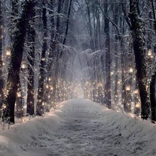 Fairy lights desktop wallpaper