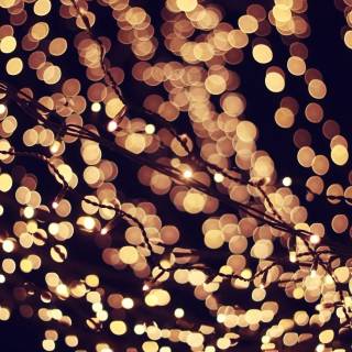 Fairy lights desktop wallpaper