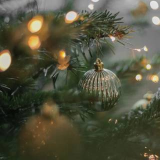 Fairy lights desktop wallpaper