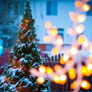 Fairy lights desktop wallpaper