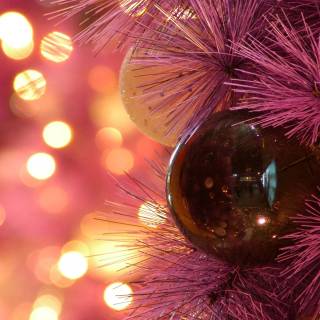 Fairy lights desktop wallpaper