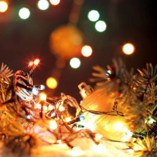Fairy lights desktop wallpaper