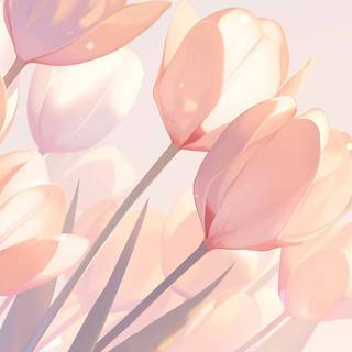 Light pink aesthetic desktop wallpaper
