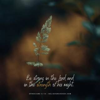 Bible quotes mobile wallpaper