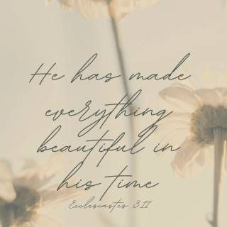 Bible quotes mobile wallpaper