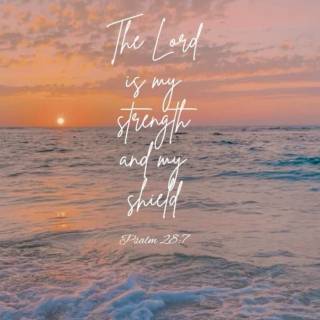 Bible quotes mobile wallpaper