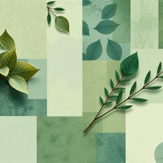Green desktop collage wallpaper