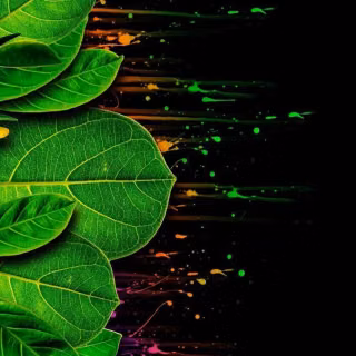 Green leaves mobile wallpaper