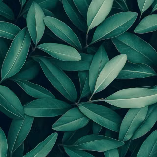 Green leaves mobile wallpaper