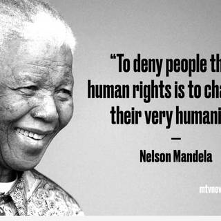 Human Rights Day wallpaper