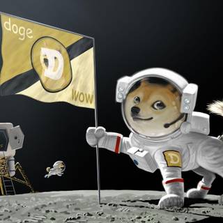 Doge wallpaper