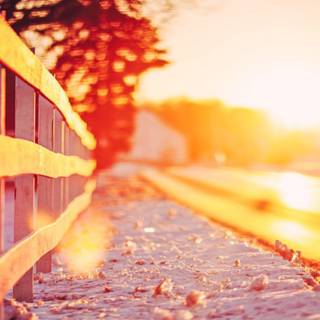 Photography wallpaper