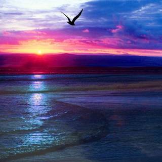 Colorful sunsets wallpaper