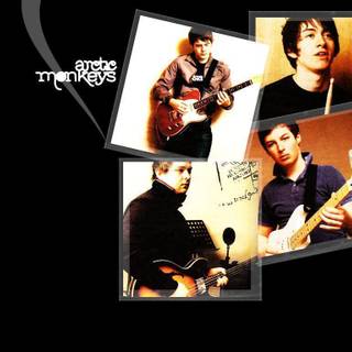 Arctic Monkeys wallpaper