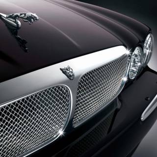 3d black jaguar wallpaper